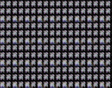 Soyut etnik raster kusursuz desen. Çiçekler. Vadinin çiçekleri siyah ve nötr renklerde.