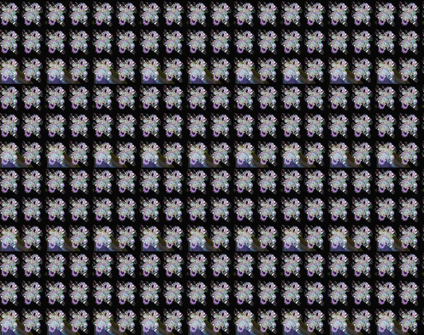 Soyut etnik raster kusursuz desen. Çiçekler. Vadinin çiçekleri siyah ve nötr renklerde.