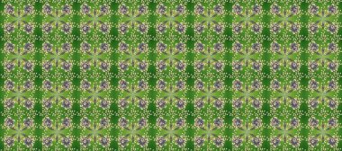 Tarafsız, bej ve yeşil renklerde geleneksel, klasik, altın, kusursuz desen. Barok tarzında kusursuz bir doğulu süsü..