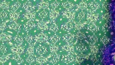 Renkli unsurlarla hareketli arka plan görüntüleri. Çiçekler. Eski model. Bayrak tarzı. Video kaydı. Şablon. Döngü. Kusursuz..