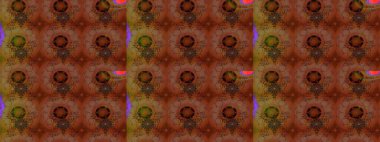 Raster çiçek izi. Çiçek rengi eskiz deseni. Klasik taslak çizimi.