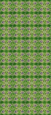 Tarafsız, bej ve yeşil renklerde geleneksel, klasik, altın, kusursuz desen. Barok tarzında kusursuz bir doğulu süsü..