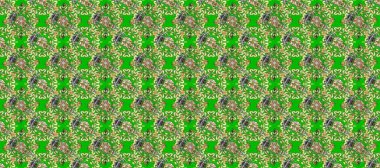 Yeşil ve bej renklerde, altın elementlerle klasik, pürüzsüz desen. Raster illüstrasyonu.