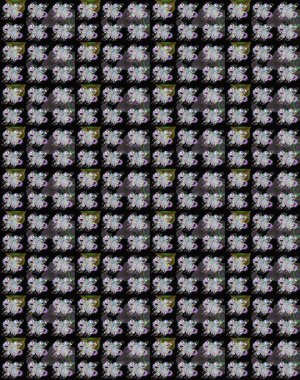 Raster illüstrasyonundaki çiçek desenli çizim. Siyah ve nötr renkte çiçekler.