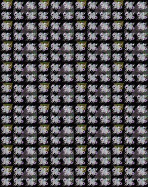 Raster illüstrasyonundaki çiçek desenli çizim. Siyah ve nötr renkte çiçekler.