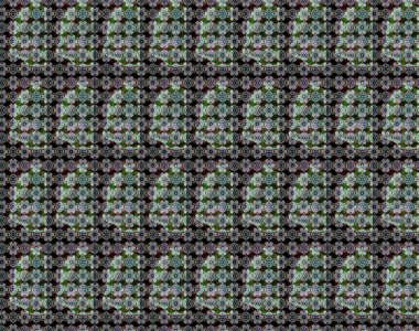 Siyah ve gri renkli çiçekler. Renkli Bahar Teması eskiz kalıbı. Çiçekli çiçek deseni, suluboya. Düz Çiçek Elementleri Tasarım Raster illüstrasyonu.