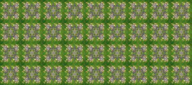 Kusursuz kraliyet lüksü, altın barok kumaş rengi. Altın antika ortaçağ dekoratifi, yeşil, gri ve nötr renklerde altın desenli süslemeler..