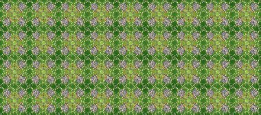 Soyut duvar kâğıdı, ambalaj dekorasyonu. Altın kar tanesi basit bir çizim kalıbı. Renkli Raster altın deseni. Kışın sembolü, Mutlu Noel tatili, Mutlu yıllar 2019.