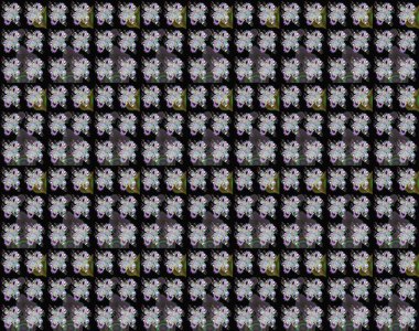 Raster illüstrasyonundaki çiçek desenli çizim. Siyah ve nötr renkte çiçekler.