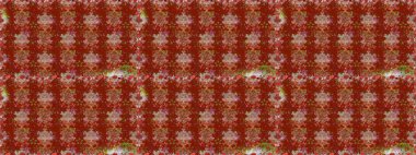 Kusursuz. Şirin çiçek elementleri. Raster illüstrasyonu. Kırmızı renkte çiçekler.