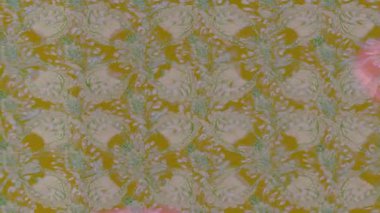 Renkli unsurlarla hareketli arka plan görüntüleri. Çiçekler. Eski model. Bayrak tarzı. Video kaydı. Şablon. Döngü. Kusursuz..