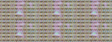 Egzotik çiçekler, nötr ve gri renkler üzerine botanik ve parlak klasik doğa. Klasik tropikal doğal elementlerin suluboya seti. Raster illüstrasyonu.