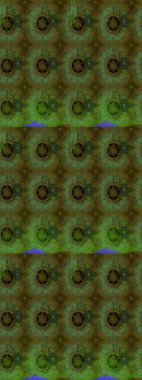 Büyük bir çiçek boyası seti. Kartlar, davetiyeler, tarih kartları ve daha fazlası için kullanılabilir. Raster şirin suluboya çiçek deseni çizimi.