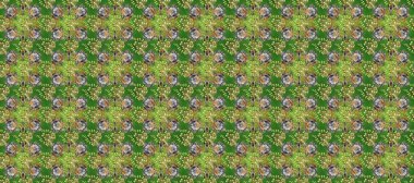 Damask kusursuz yinelenen arkaplan. Barok tarzında altın çiçekli süs. Altın element yeşil, gri ve nötr renklerde. Doku arkaplanı üzerine altın duvar kağıdı.