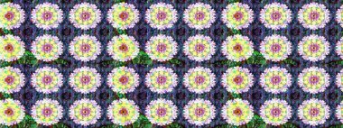 Suluboya resim taklit Raster çizimi. Klasik çiçekler. Yaz çiçekleri teması. El çizimi, soyut ve süslü elementler. Tarafsız ve mavi renkler.