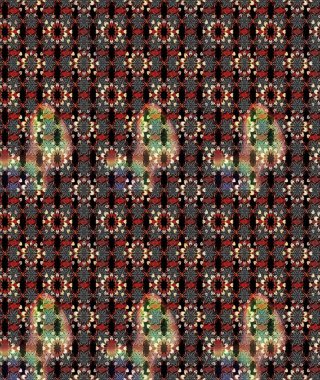 Siyah ve kahverengi renkli Asya tekstili. Raster illüstrasyonu. Çiçek desenini çiz.