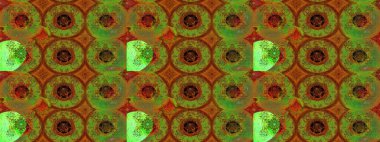 Parlak renkli çiçekleri ve kahverengi renkli yaprakları olan harika bir çiçek deseni. Halk tarzı. Moda baskıları için zarif bir şablon. Modern çiçek arkaplanı.