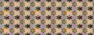 Küçük bir çiçekte eskiz deseni. Hoş bir çiçek geçmişi var. Raster illüstrasyonu. Güzel kumaş deseni.