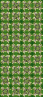 Raster klasik barok çiçeksiz altın desenli. Lüks, kraliyet ve Viktorya dönemi konsepti. Süslü dekorasyon. Altın elementlerle yeşil ve gri renklerde altın desen.