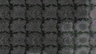 Renkli unsurlarla hareketli arka plan görüntüleri. Çiçekler. Eski model. Bayrak tarzı. Video kaydı. Şablon. Döngü. Kusursuz..