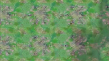 Renkli unsurlarla hareketli arka plan görüntüleri. Çiçekler. Eski model. Bayrak tarzı. Video kaydı. Şablon. Döngü. Kusursuz..