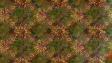 Renkli unsurlarla hareketli arka plan görüntüleri. Çiçekler. Eski model. Bayrak tarzı. Video kaydı. Şablon. Döngü. Kusursuz..