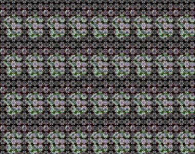 Raster illüstrasyonu. Klasik tropikal doğal elementlerin suluboya seti. Egzotik çiçekler, botanik parlak klasik siyah ve nötr renkler.