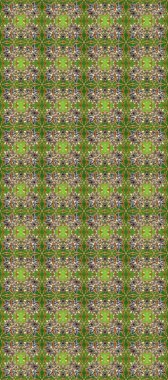 Yeşil, kahverengi ve gri renklerde altın rengi, pürüzsüz desenler. Noel, kar tanesi, yeni yıl. Yeşil, kahverengi ve gri renklerde altın elementlerle kusursuz klasik desen.