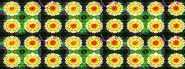 Küçük çaplı çiçeklerdeki basit şirin desenler. Tekstil veya kitap kapakları, imalat, duvar kağıtları, baskı, hediye paketi ve yapıştırma kitabı için çiçek eskizi geçmişi. Raster illüstrasyonu.