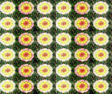 Motley illüstrasyonu. Küçük çiçekte güzel bir desen. Yeşil ve sarı çiçekli bahar çiçekleri. Moda baskıları için zarif bir şablon. Küçük renkli çiçekler..