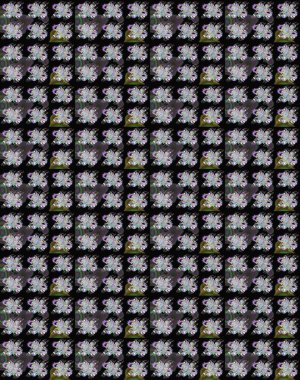 Raster illüstrasyonundaki çiçek desenli çizim. Siyah ve nötr renkte çiçekler.