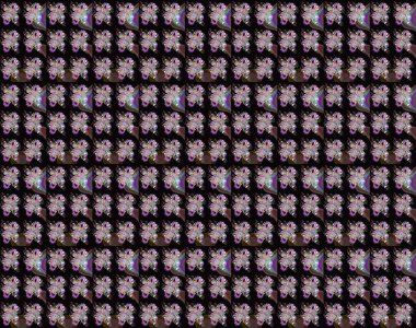 Sketch Colour Spring Theme eskiz kalıbı. Sevimli çiçek raster deseni. Siyah ve kahverengi renkte çiçekler. Düz Çiçek Elementleri Tasarımı.