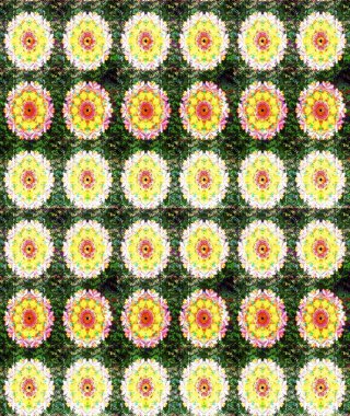 Küçük çiçekte güzel bir desen. Motley illüstrasyonu. Küçük renkli çiçekler. Moda baskıları için zarif bir şablon. Yeşil ve sarı çiçekli bahar çiçekleri.