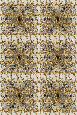 Şam, tasarım için kusursuz desen. Gri, kahverengi ve bej renklerde, altın elementlerle pürüzsüz desen.