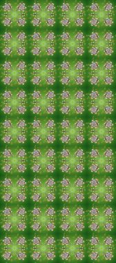 Kusursuz ortaçağ çiçek deseni. Doğum günü kartı, davetiye ya da afiş için iyidir. Altın griye, nötr ve yeşil renklere. Raster illüstrasyonu. Dekoratif simetri arabesk.