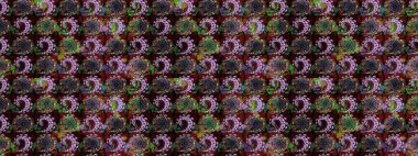 Çiçek arkaplan. Çiçek kolajı. Çiçek kompozisyonu. Doğa. Küçük çiçekte güzel bir desen var. Raster deseni. - siyah ve kahverengi çiçekler.