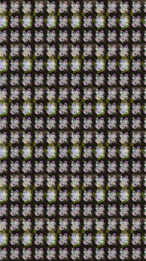 Çiçeksel çizim kalıbının yansıması. Vadinin gri renkli çiçekleri.