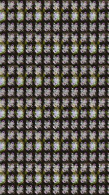 Çiçeksel çizim kalıbının yansıması. Vadinin gri renkli çiçekleri.