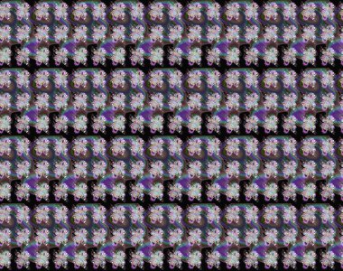 Mor ve siyah renkte çiçekler. Yumuşak, yaz çiçekli arka plan. Raster çiçek desenli ve çiçekli..