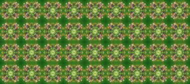 Yeşil, kahverengi ve gri renklerde altın elementlerle kusursuz klasik desen. Noel, kar tanesi, yeni yıl 2019.