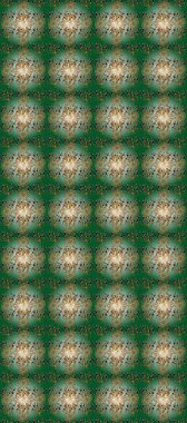 Barok tarzında kusursuz bir doğulu süsü. Geleneksel klasik raster altın pürüzsüz desen. Siyah ve kahverengi renklerdeki altın elementler.