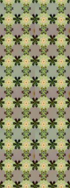 Raster hisseleri. Suluboya, elle çizilmiş. Tarafsız ve gri çiçekler. Taslak arkaplan deseni.