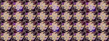 Taslak süsleme izi. Sınır Kızılderili çiçekli paisley patten. Tebrik kartı geçmişi, boyama kitabı, arkaplan ve tekstil için kullanılabilir. Etnik Mandala havlusu. Raster Henna tarzı.