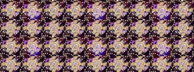 Taslak süsleme izi. Sınır Kızılderili çiçekli paisley patten. Tebrik kartı geçmişi, boyama kitabı, arkaplan ve tekstil için kullanılabilir. Etnik Mandala havlusu. Raster Henna tarzı.