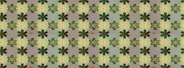 Suluboya, elle çizilmiş. Eskiz arkaplan modeli. Tarafsız ve gri çiçekler. Raster stoku.