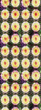 Etnik Mandala süsleme. Hint çiçek desenli madalyon desen. Kullanılabilir Tekstil, tebrik kartı, boyama kitabı, telefon durumda yazdırma için. Raster kına dövme stil.