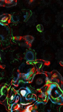 Zarif, parlak ve eskiz siyah ve gri çiçek desenli tasarım. Raster. Sabıka baskıları, bebek kıyafetleri, duvar kâğıtları, paket kutuları vb..