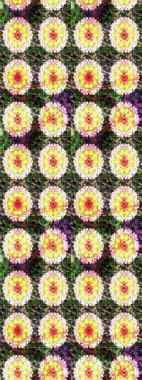 Kızılderili desenli desenli desenli şal deseni. Etnik Mandala süsü. Raster Henna dövme stili. Tekstil, tebrik kartı, boyama kitabı, telefon kılıfı baskısı için kullanılabilir.