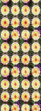 Kızılderili desenli desenli desenli şal deseni. Etnik Mandala süsü. Raster Henna dövme stili. Tekstil, tebrik kartı, boyama kitabı, telefon kılıfı baskısı için kullanılabilir.