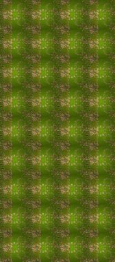 Yeşil ve kahverengi renklerdeki altın desenli altın elementler. Raster oryantal süs. Kusursuz altın desen.